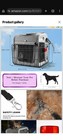 Foldable Dog Bicycle Basket W  Padded Liner And Safety Lease  new 