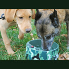 Heated Pet Bowl  Outdoor Pet Thermal Water Bowl  Dog Cat Heated Water Bowl With 
