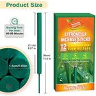 Firik Large Citronella Incense Sticks 12 Pcs  Green