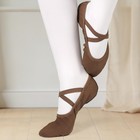Ballet Shoes For Women Highly Stretch Canvas Dance Split Sole Dance Shoes For   