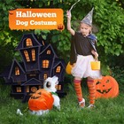 Funny Pumpkin Dog Plush Halloween Costume M Size Pet Dress Costume