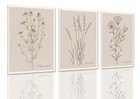 Xlartmy Botanical Vintage 12x16in Canvas Vintage Wildflowers Wrapped Canvas