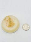 Real Scorpion Encased In Resin Dome Paperweight Amber Glitter 2 5  Vintage