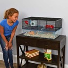 Favola Hamster Cage Includes Water Bottle  Exercise Wheel  Food Dish