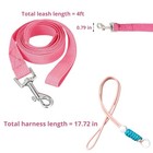 Ferret Leash Harness Adjustable Squirrel  Ferret Leash And Harness Sets For F   