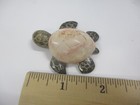 Cute Little Carved Stone Sea Turtle