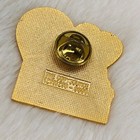 1993 Battle Creek Mi Hot Air Balloon Air Show Volunteer Lapel Pin Phillips 76