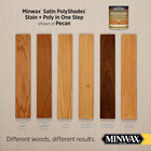 Polyshades Wood Stain   Polyurethane Finish     Quart  Pecan  Satin  Brown
