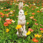 30      h Large Size Noble Sitting Rabbit Statue Easter Bunny Sculpture