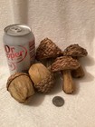 Acorns   Mushrooms Woven Straw Bowl Filler    Rustic   Tier Tray   Set Of 5