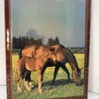 Rustic Wood Framed Horse   Foal Pasture Wall Art 6 5x8 5  Vintage Decor