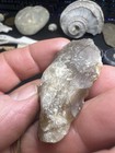 St Group 100  Authentic Archaic Indian Flint Knife Tool From Wolf Fam Coll