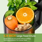 Juicer Machines  5 8  Wide Feed Chute Cold Press For Whole Slivery 
