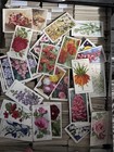 Flower floral gardening Related Tobacco Cards Random Mix  10 Count 