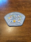 Albuquerque New Mexico Police 50th Balloon Fiesta Patch