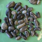 65 Mini Unpolished Michigan Fossils Petoskey Stones 1 4  Perfect For Jewelry M9