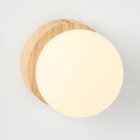 2pk Globe Kids  Wall Sconces - Pillowfort