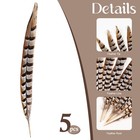 5pcs Pheasant Feather 14-16inch 35-40cm Natural Reeves Pheasant Tails Feather   