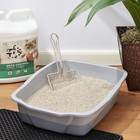 Scoopable Tight Clumping Cat Litter Fresh Scent 20 Lb