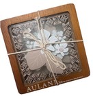 Disney Aulani Resort Hawaii Set Of 4 Drink Coasters Homestead Neutral Beige 2026