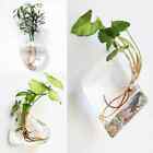 Wall Hanging Glass Vase   Fish Tank  Fashion Terrarium Planter -home Decor Plant