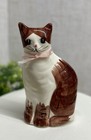 Vintage Cat Kitten Rosenthal Netter Taiwan Porcelain Painted Bank Figurine Euc 