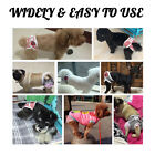 Pet Dog Diaper Female Puppy Physiological Panties Nappy Sanitary Pants Underwear