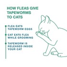 Elanco Tapeworm Removal Dewormer For Cats  3 Tablets Praziquantel