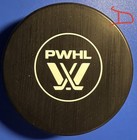 26-27 Detroit   s Professional Women   s Hockey League Team Official Souvenir Puck