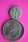 Widows Mite Coin Original Jerusalem Patina Holy Land Artifact Small Lepton T1037