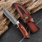 10    Damascus Steel Hunting Skinner Knife     Custom Fixed Blade     Gift For Men
