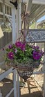 Metal Wrought Iron Hanging Flower Planter Basket With Antique Rust Patina