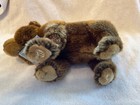 Webkinz Signature Endangered Species Brown Bear Plush Wkse3006 Sealed Code