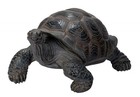 Realistic Marine Lifelike Galapagos Giant Tortoise Turtle Large Statue 18 l