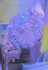 Pink Banded Stone crystal Butterfly Slab Sculpture On Metal Stand  Fabulous