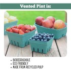 Kitchens Green Molded Pulp Fiber Berry produce Vented 4  X X 2 75  