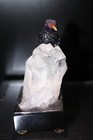 Peter Muller Hand Carved Fluorite Hummingbird On Quartz Base 3 1 4 