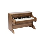 25-key Kids Piano Keyboard - Mini Digital Music Toy  Educational Instrument For