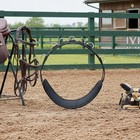 Horse Training Girth Strap Reinforced Stitching Girth Strap With Metal Rings