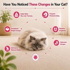 Cat Dewormer tapeworm Solution For Cats And Kittens  Say Goodbye To Tapeworms In
