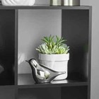 6-cube Storage Organizer Bookcase Bookshelves Display Shelf Shelving Storage Us