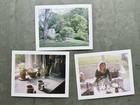 Fujifilm Fp-100c Instant Colour Film Tested Exp 09 2013
