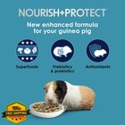 Kaytee Pro Health Guinea Pig Food Digestive Immune Support 5lb