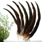 50pcs Rooster Coque Tail Feathers Bulk Natural 12-14inch 30-35cm For Crafting   