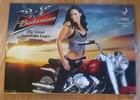 Lot Of 4 Beer Poster Budwieser Bud Light Natural Light Natty Light Mancave Bar