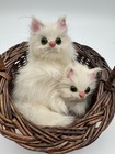 Vintage Realistic Rabbit Fur White Cats Green Eyes Kittens In Basket