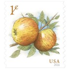 Us   5037 Apples  0 01  2017  - Coil Roll Of 100 Postage Stamps  Brand New 