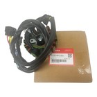New Honda Stator Generator 06-09 Trx450r 06-14 Trx450er Atv 31120-hp1-601