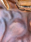 Stan Musial Rawlings Pm Personal Model Playmaker Supreme Baseball Glove 1953