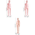 Vevor Male female Manikin Model Anatomical Nursing Training Patient Care Teach